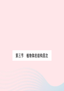 七年级生物上册第二单元第二章第三节植物体的结构层次习题课件新版新人教版