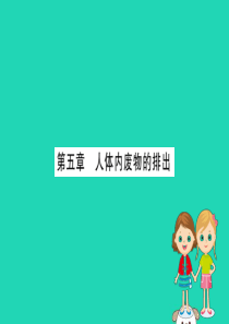 七年级生物下册第四单元生物圈中的人期末抢分必胜课第一部分第四单元生物圈中的人第五章人体内废物的排出课