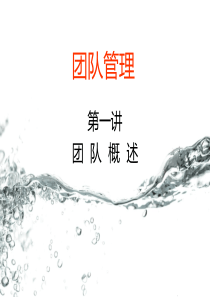 团队管理优化（PPT34页)