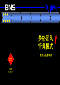 团队管理模式