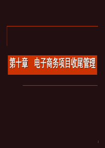 第十章电子商务项目收尾管理