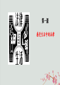 六年级道德与法治上册第一单元我们的守护者1感受生活中的法律课件3新人教版