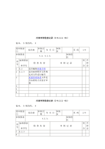 企业内部审核检查记录表(20页)