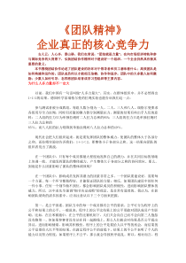 团队精神企业真正的核心竞争力doc