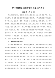 000在全市稳就业工作专班会议上的讲话