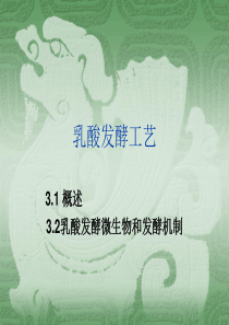 乳酸发酵工艺2011精选-课件