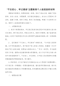 不忘初心牢记使命主题教育个人检视剖析材料