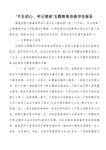 不忘初心牢记使命主题教育自查评估报告