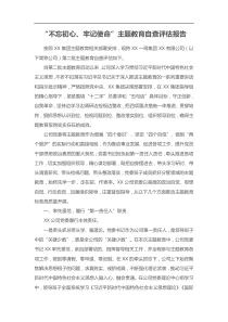 不忘初心牢记使命主题教育自查评估报告