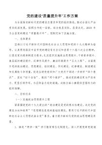 党的建设质量提升XX年工作方案