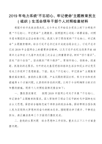 电力系统不忘初心牢记使命主题教育民主组织生活会领导干部个人对照检查材料