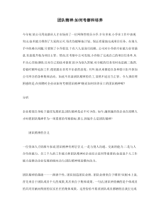 团队精神如何考察和培养(doc5)(1)