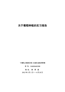 葡萄种植的实习报告