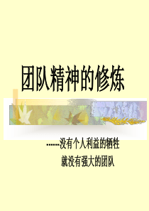 团队精神训练7