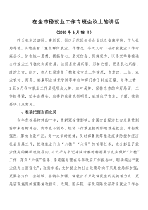 在全市稳就业工作专班会议上的讲话