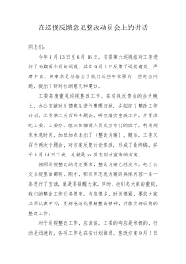 在巡视反馈意见整改动员会上的讲话