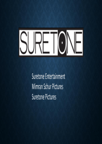 好莱坞--suretone影视集.商业计划书（PDF25页）