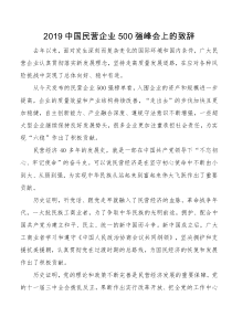 中国民营企业强峰会上的致辞