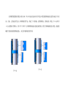 TP系列特殊扣