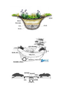 下凹式绿地