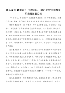 精心谋划精准发力不忘初心牢记使命主题教育阶段性进展汇报