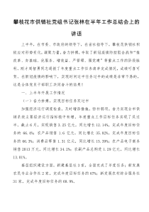 攀枝花市供销社党组书记张林在半XX年工作总结会上的讲话