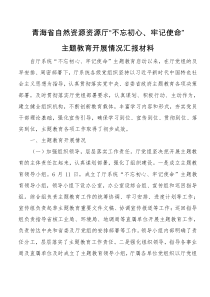 青海省自然资源资源厅不忘初心牢记使命主题教育开展情况汇报材料