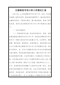 扫黑除恶专项斗争工作情况汇报