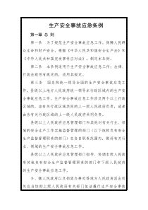 生产安全事故应急条例全文