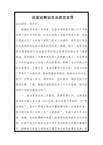 巡视巡察动员会表态发言一