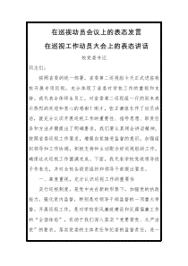 巡视巡察动员会表态发言三