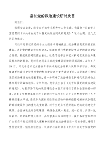 县长党的政治建设研讨发言