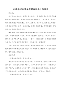 市委书记在青XX年干部座谈会上的讲话