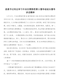 县委书记传达学习中央扫黑除恶第X督导组组长督导讲话精神