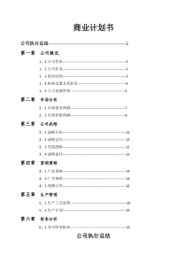 商业计划书完整版