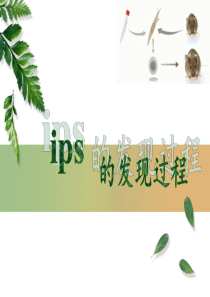 IPS的发现过程