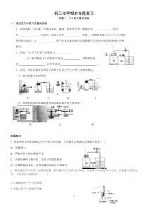 新人教版九年级化学上册期末专题复习