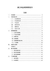 盐典营销策划书