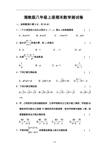 新湘教版八年级上册期末数学测试卷