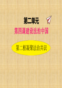 部编版道德与法治九年级上册42凝聚法治共识