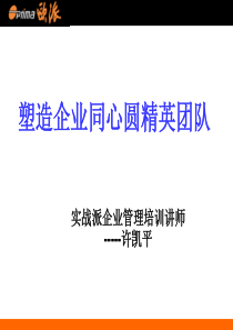 塑造企业同心圆精英团队(ppt 91) 