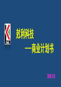 尅利科技无线充电器商业计划书（PDF21页）