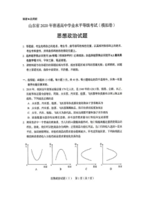 山东省2020年新高考模拟考试政治试题