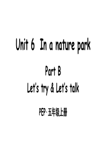 Unit-6-In-a-nature-park-Part-B-第4课时课件人教版PEP五年级英语上册