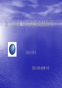 开发有限责任公司创业计划书(ppt 113页)