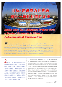 目标建设成为世界级炼化一体化标志性企业镇省略炼化100万ta乙烯工程项目