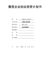 微型企业投资创业计划书(免费)