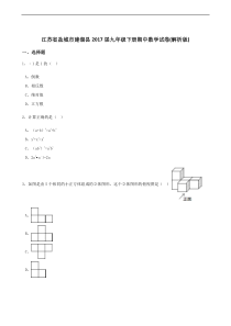 江苏省盐城市建湖县2017届九年级下册期中数学试卷解析版