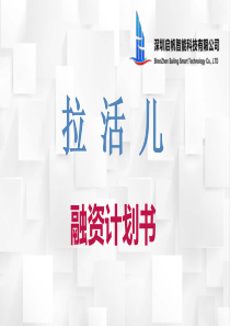 拉活儿互联网物流平台.商业计划书（PDF45页）