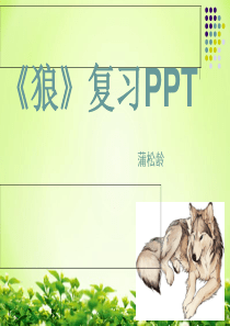 《狼》复习PPT